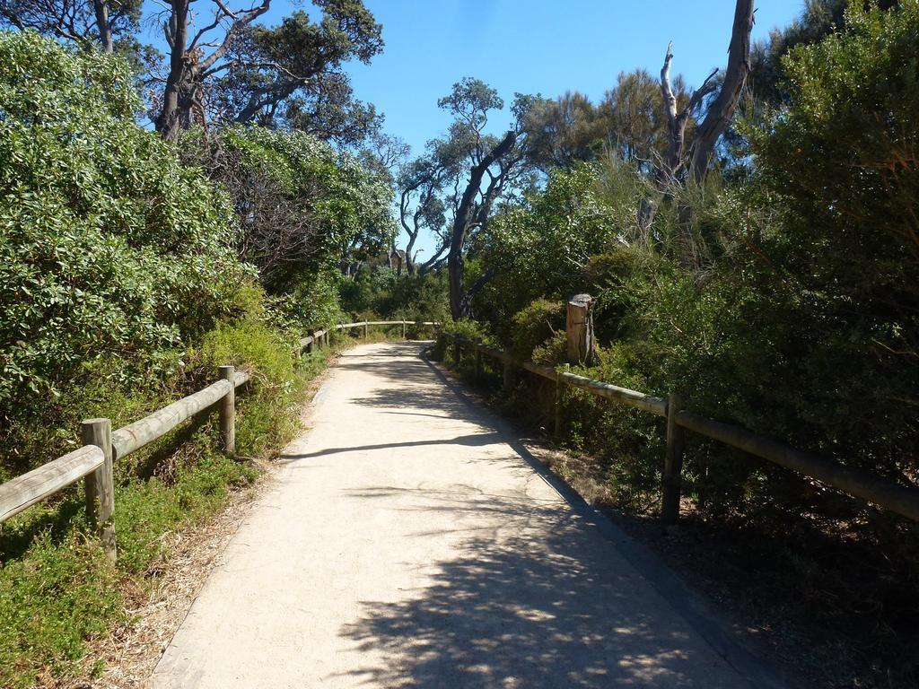 Dromana Beach Getaway 객실 사진